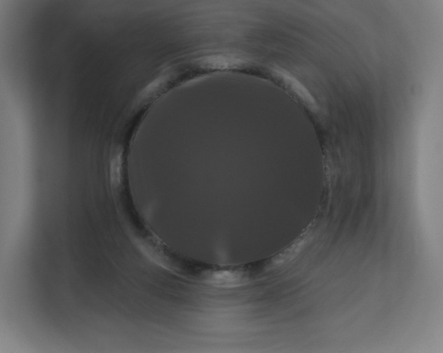 X0000112160163200908211441