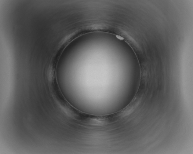 X0000112160164200908211441