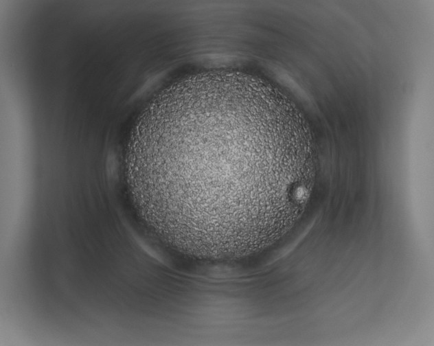 X0000112160165200908211441