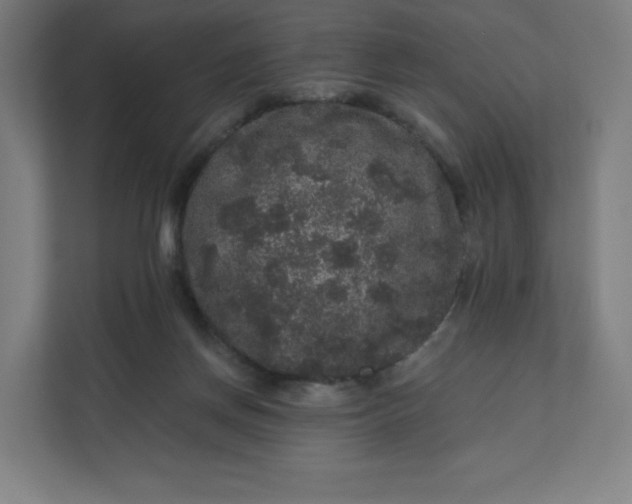 X0000112160166200908211441