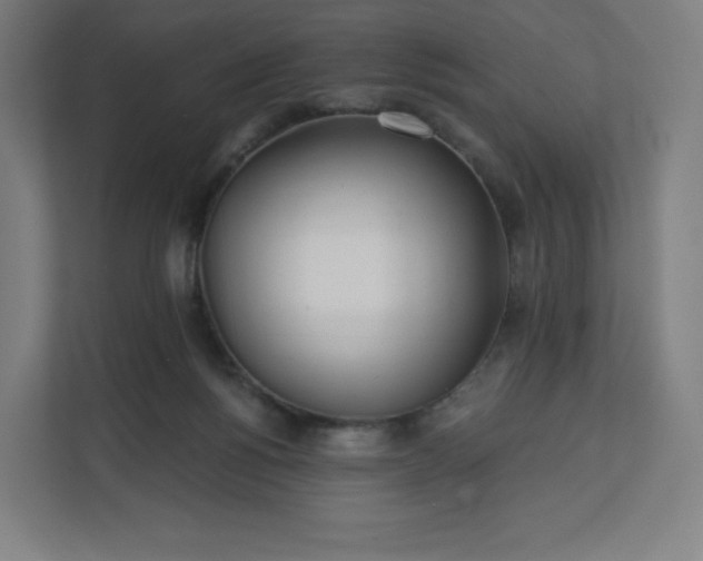 X0000112160168200908211441