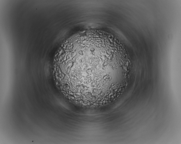 X0000112160169200908211441