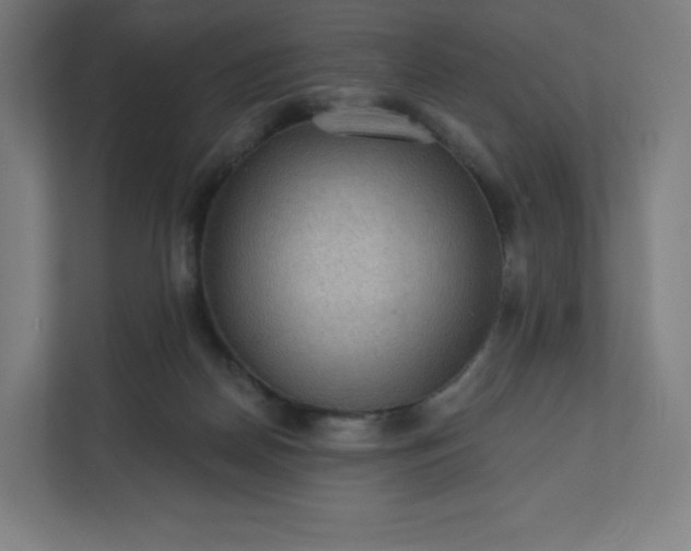 X0000112160170200908211441