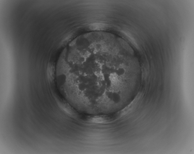 X0000112160171200908211441