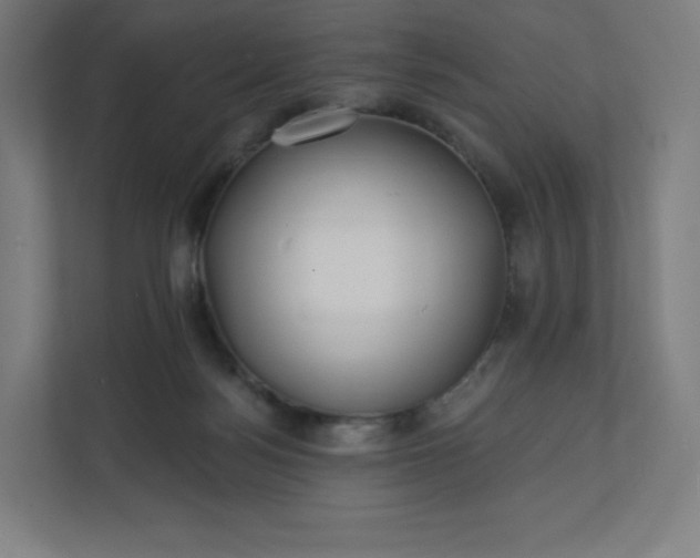 X0000112160172200908211441