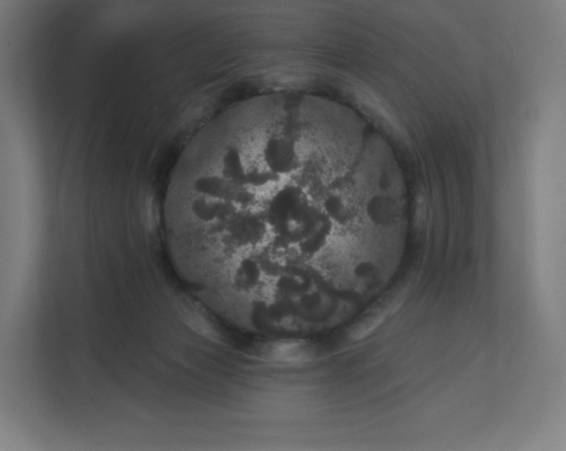 X0000112160173200908211441