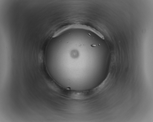 X0000112160174200908211441