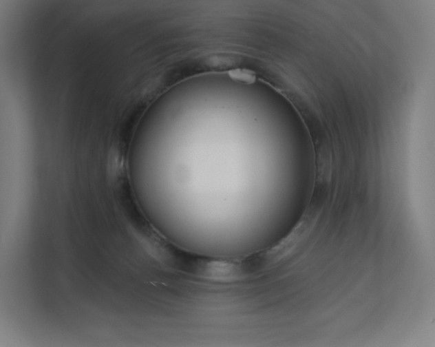 X0000112160176200908211441