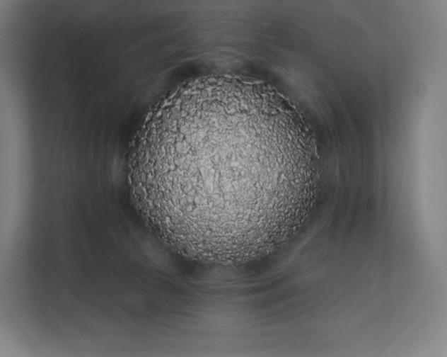 X0000112160177200908211441