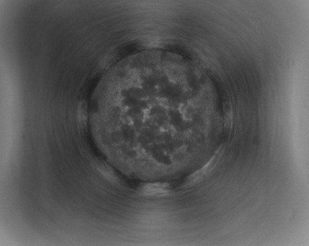 X0000112160179200908211441