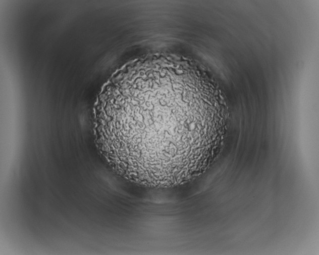 X0000112160181200908211441