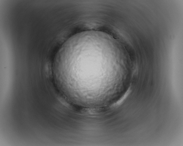 X0000112160182200908211441