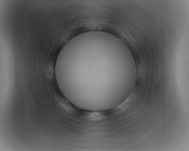 X0000112160183200908211441