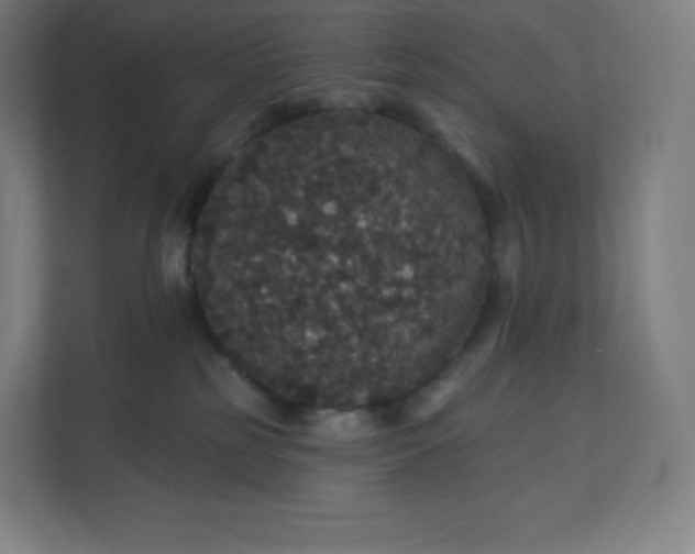 X0000112160185200908211441