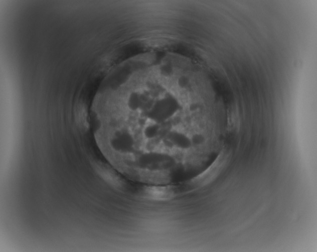 X0000112160187200908211441