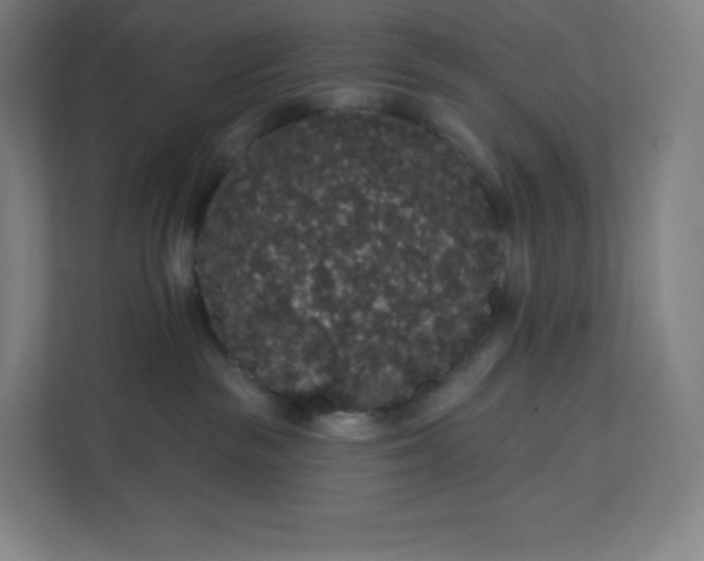 X0000112160189200908211442