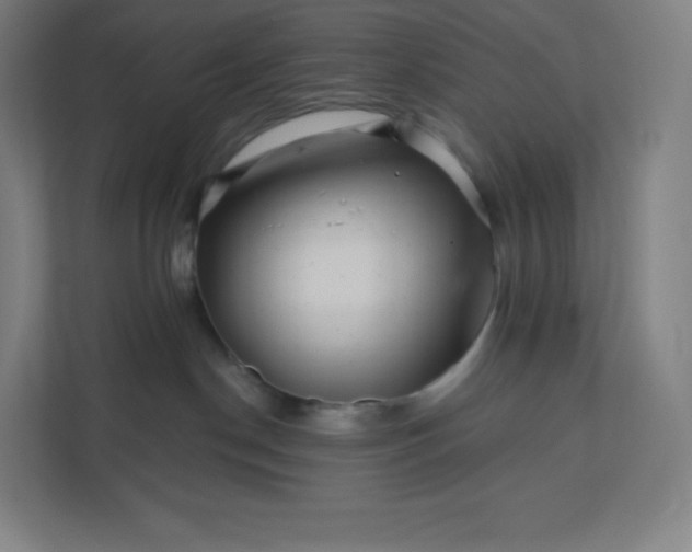 X0000112160190200908211442