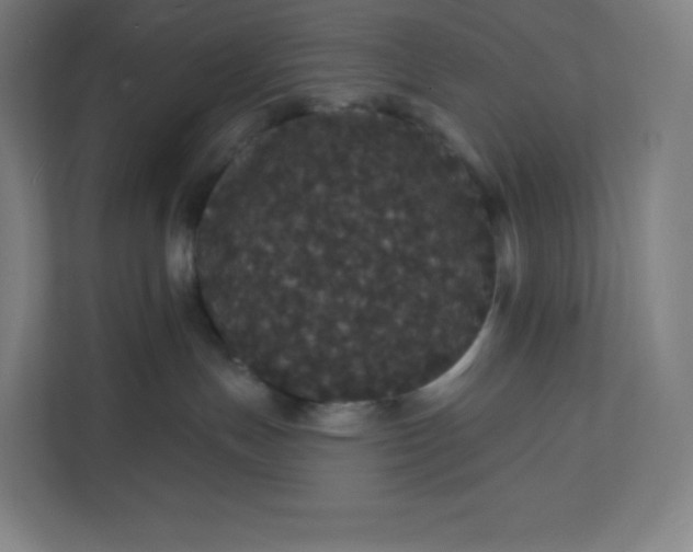 X0000112160191200908211442