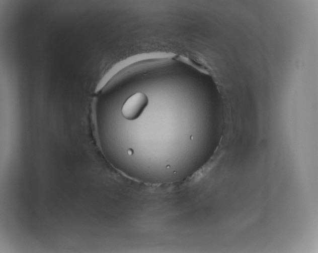 X0000112160192200908211442