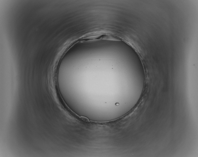 X0000112160193200908211441