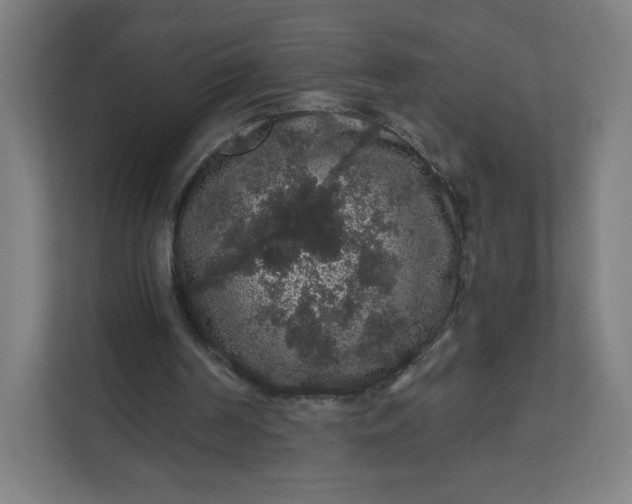 X0000112160194200908211441