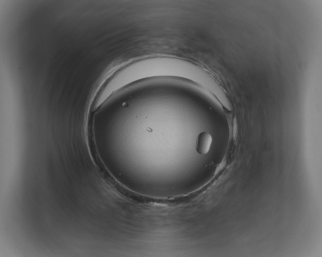 X0000112160195200908211441