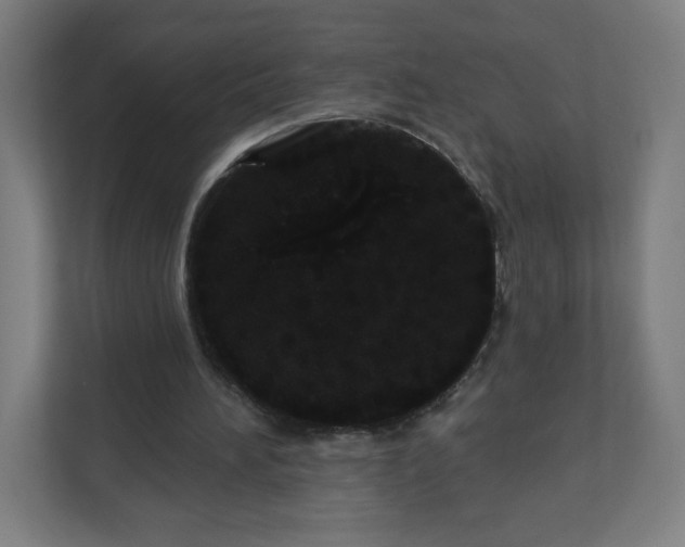 X0000112160196200908211441