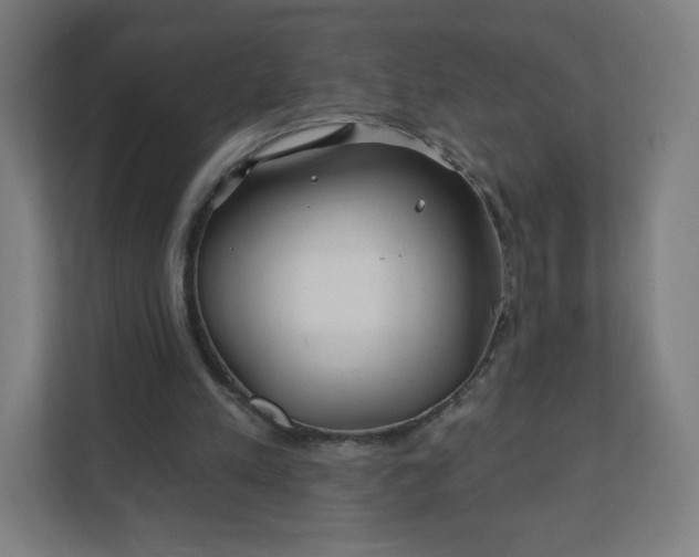 X0000112160197200908211441