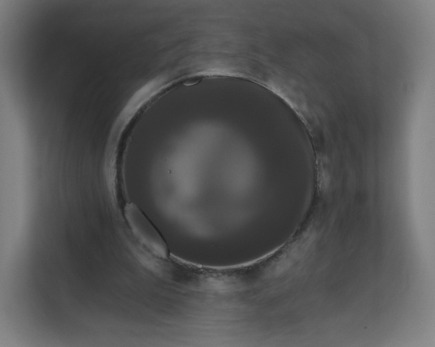 X0000112160199200908211441