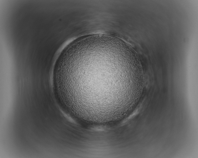 X0000112160200200908211441