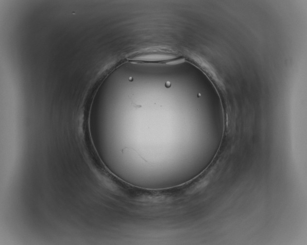 X0000112160201200908211441