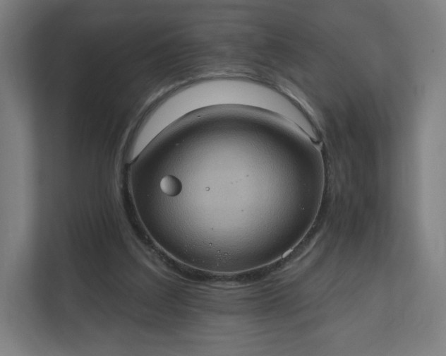 X0000112160203200908211441