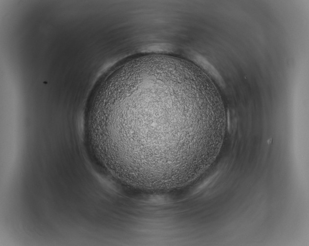 X0000112160204200908211441