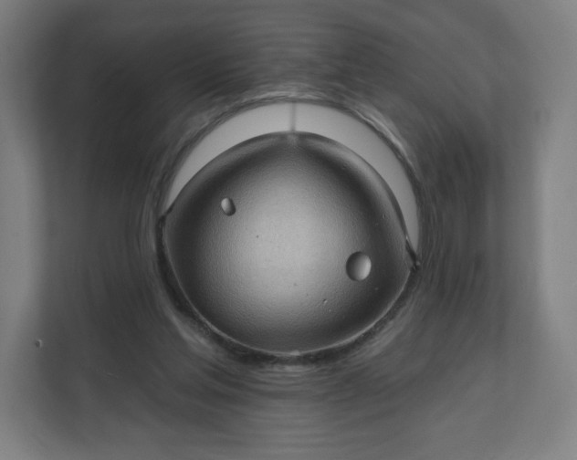 X0000112160205200908211441