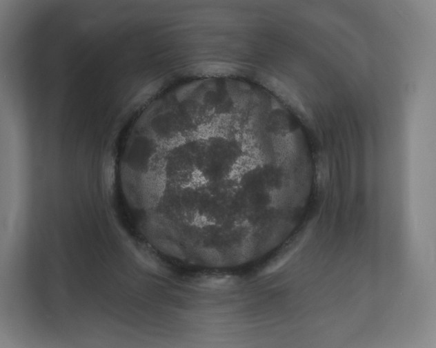 X0000112160206200908211441