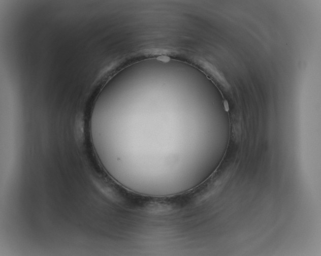 X0000112160207200908211441