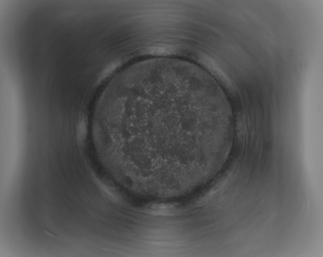 X0000112160208200908211441