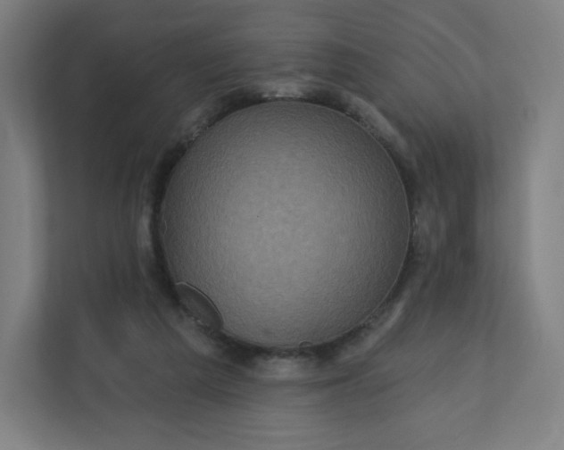 X0000112160209200908211441