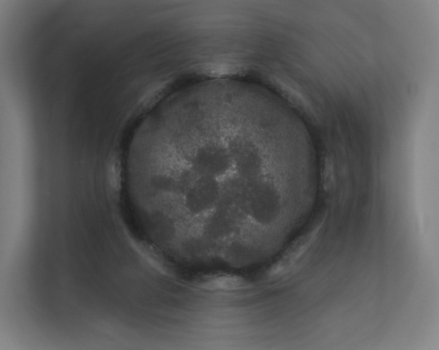 X0000112160210200908211441