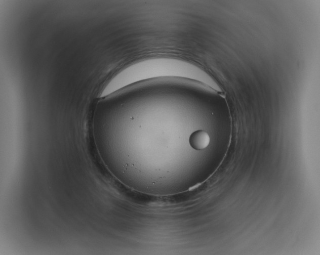 X0000112160211200908211441