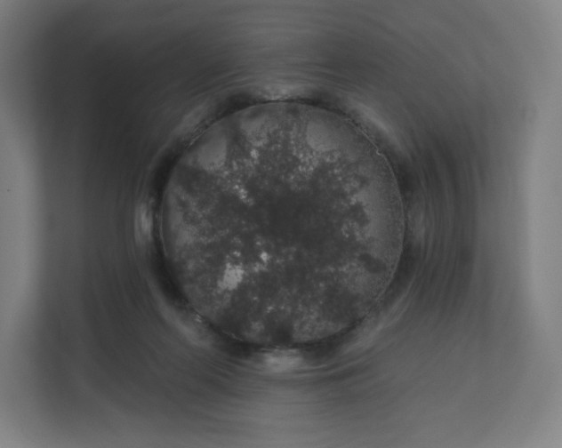 X0000112160214200908211441