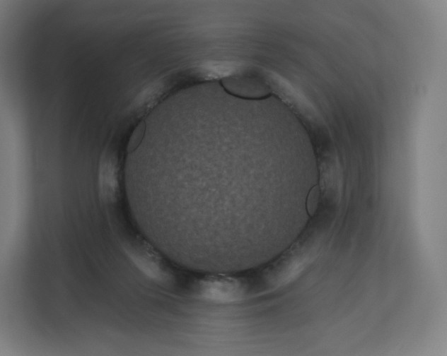 X0000112160215200908211441