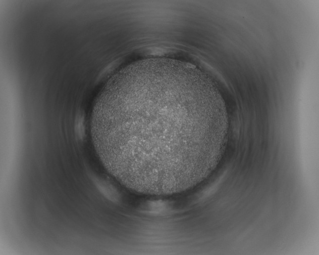 X0000112160216200908211441