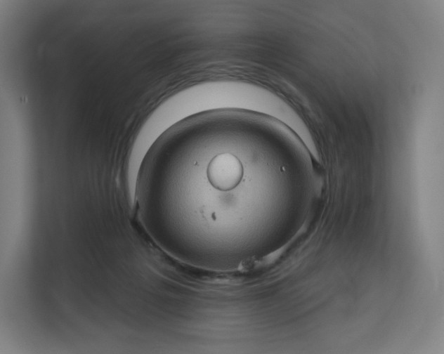 X0000112160217200908211441