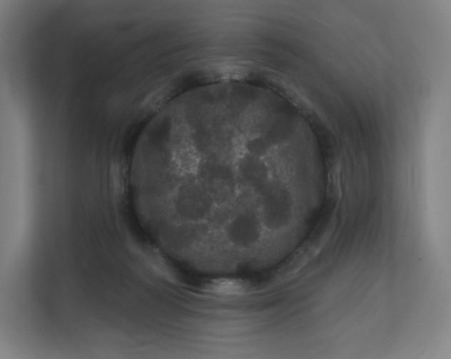 X0000112160218200908211441