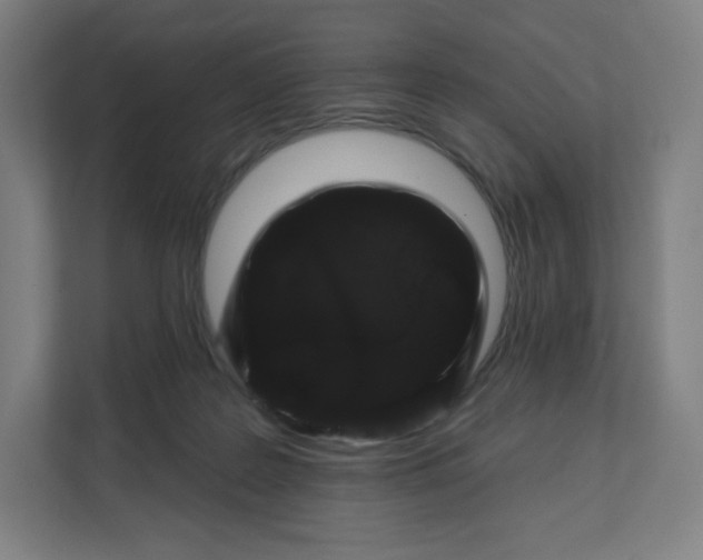 X0000112160219200908211441