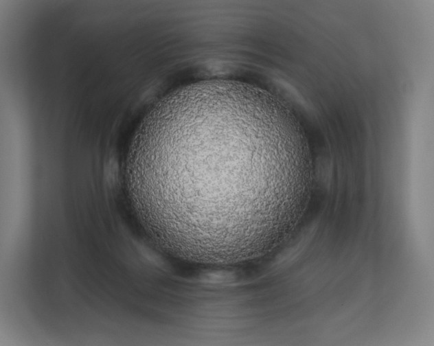 X0000112160220200908211441