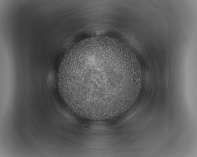 X0000112160222200908211441