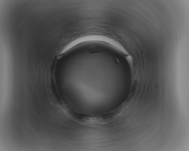 X0000112160223200908211441