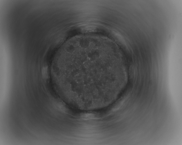 X0000112160224200908211441